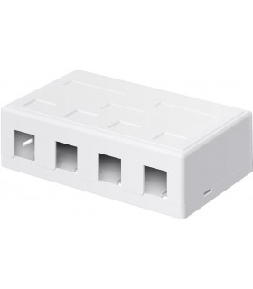 Roseta 4 RJ45 Keystone salida lateral