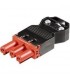 Wieland Hembra aereo Rojo