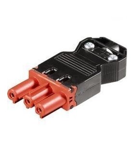 Wieland Hembra aereo Rojo