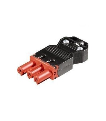 Wieland Hembra aereo Rojo