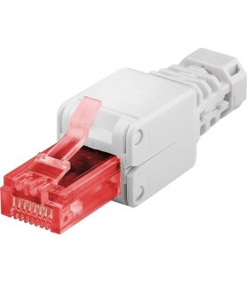 Macho RJ-45 TF CAT 6 UTP AWG 22-26