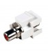 Adapt. Keystone H-H  RCA rojo