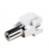 Adapt. Keystone H-H  Minijack 3,5 mm