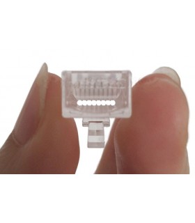 Conector M RJ-45 Cat6 Easy Crimp  100 u.