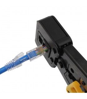 Conector M RJ-45 Cat6 Easy Crimp  100 u.