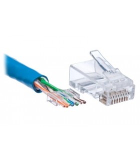 Conector Macho UTP Cat.6 2 piezas con guía 50 u.