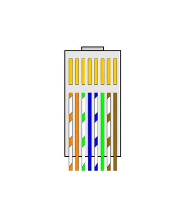 Conector macho UTP Cat.5e 10 ud.
